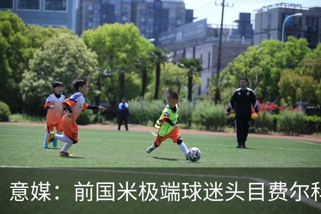 意媒：前国米极端球迷头目费尔科迪承认参与谋杀，并转为污点证人